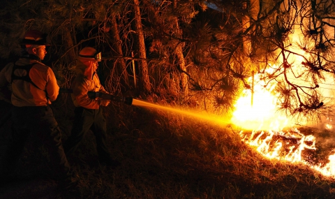 Поне 19 огнеборци загинаха при горски пожар в САЩ - 1