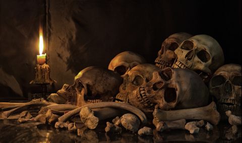 Започна шестото масово измиране на Земята - 1