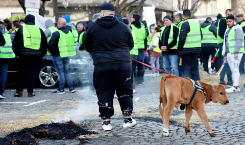 Фермери гасиха запалена слама с мляко в центъра на София - 1