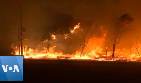 1 200 души бяха евакуирани заради горския пожар северно от Лос Анджелис