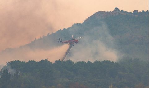 Гърция: Подобрява се ситуацията с пожара в националния парк Дадия  - 1