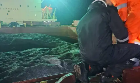 Опасни нива на пестициди в трети кораб със слънчоглед от Аржентина у нас - 1