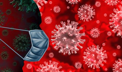 Учени: Коронавирусът няма да изчезне, когато стане топло - 1