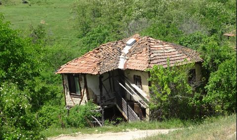 До 2040 г. България ще се стопи до 5 млн. души - 1