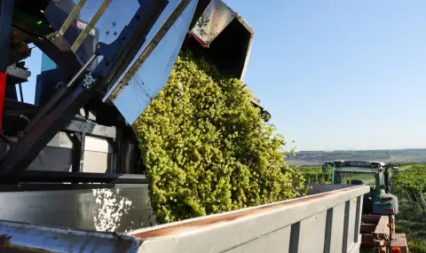 Митата на Тръмп подкопават селскостопанския сектор на ЕС - 1