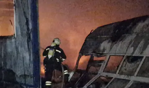 Пожар избухна тази нощ във фабрика за пелети - 1