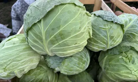 Wholesale fruit and vegetables are getting cheaper, only the wholesale price of potatoes is being raised  - 1