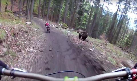 Мечка нападна даунхилъри в Словакия - 1