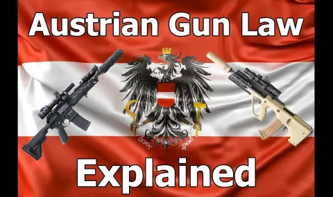 Austria's Greens call for tougher gun laws  - 1