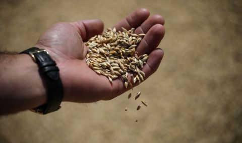 ЕК ще продължи подкрепата за земеделците, засегнати от вноса от Украйна - 1