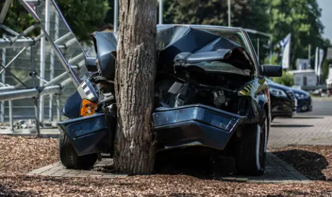 Шофьор загина след челен удар в дърво във Видинско - 1