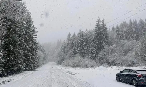 Обилен снеговалеж на Петрохан