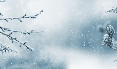 През коя година е била най-мразовитата зима в България?   - 1