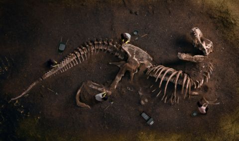 Откриха останки от най-големия динозавър, живял в Европа - 1