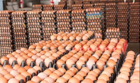 Русия ограничава вноса на яйца и птиче месо от България - 1
