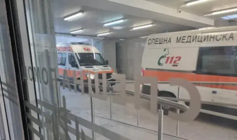 Стабилно е състоянието на детето, жестоко нахапано от домашно куче в с. Кънчево - 1