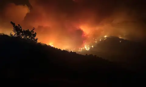 Повече от 1500 дка гори са изгорели само през юли в Централна Северна България - 1