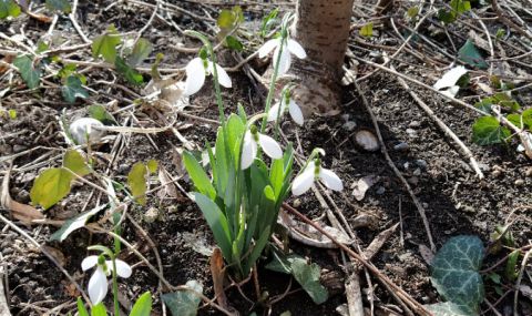 Слънчев и ветровит петък - 1
