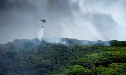 France in dire straits! Paris seeks European help to tackle wildfires - 1