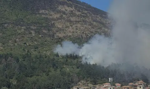 Отново пожар - този път в Сливен. Пламъците са в  в местността „Св. Георги" - 1