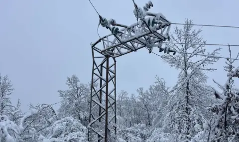 Dozens of households remain without electricity in Lovech region  - 1