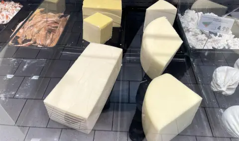 Производители алармират за цените на млечните продукти в магазините