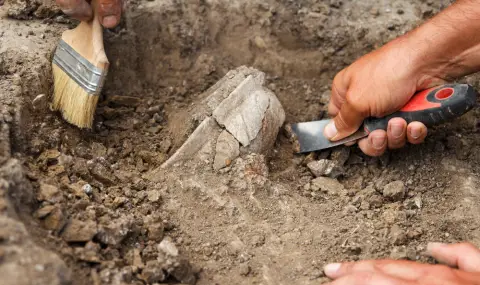 Откриха зъби на древен крокодил край Трън - 1