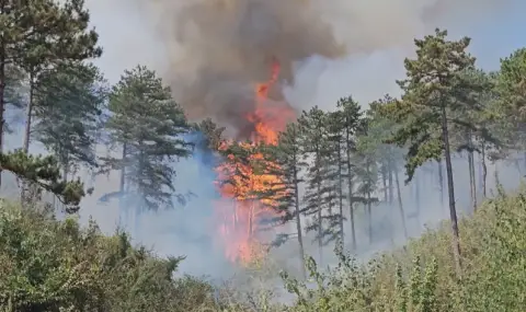 Bulgaria is still burning today  - 1