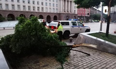 Десетки сигнали за щети от бурята в София снощи - 1