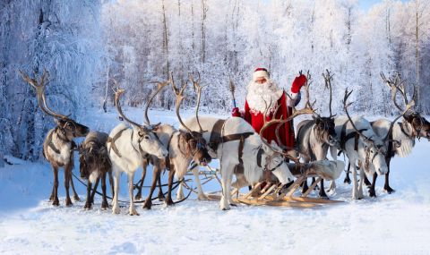 Най-верните помощници на Дядо Коледа: Любопитни факти за елените - 1