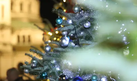 Коледна елха грейна пред „Св. Александър Невски“ (СНИМКИ) - 1