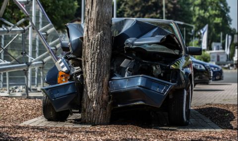 Двама млади мъже загинаха при удар на кола в дърво във Варна - 1