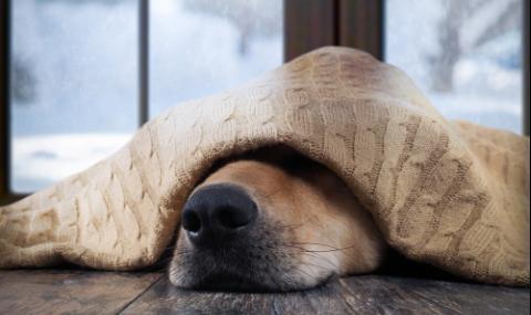 Облачен уикенд, дъждове в неделя - 1