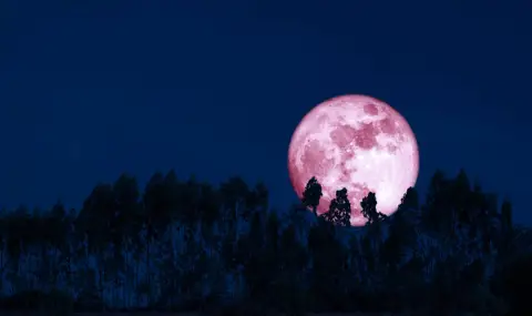 Розова Луна ще озари небето - 1