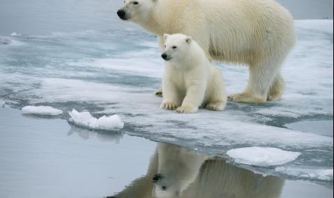 Земята загубила над 28 трилиона тона лед само за 23 години - 1