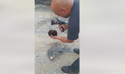 Пожарникари спасиха пострадал таралеж (ВИДЕО) - 1