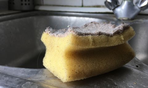 Гъбата за миене на съдове - едно от най-мръсните неща в дома - 1