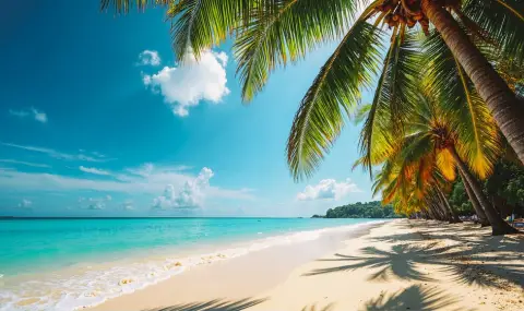 Топ дестинации за декември: Къде да избягаме от зимата и студа - 1