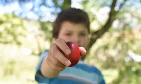 Какво да правим с миналогодишното червено яйце? - 1