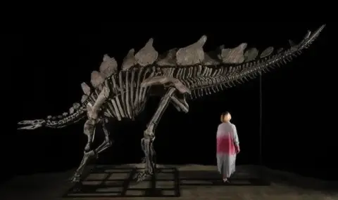 Billionaire pays record amount for dinosaur fossil  - 1