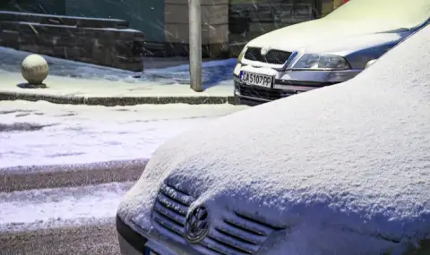 166 снегорина са в готовност при зимни условия в столицата