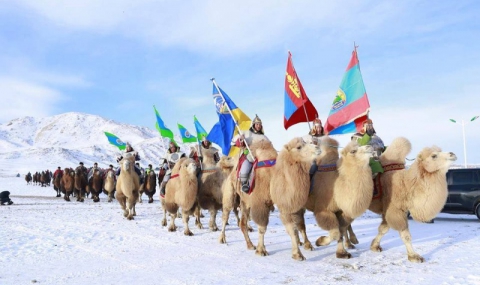 В пустинята Гоби се проведе най-голямото състезание с камили - 1