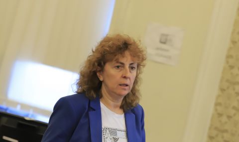 Василева от ИТН: Избирам самоуважението. Не търсете конспирации в напускането ми на НС  - 1