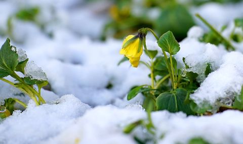 Прогноза за времето в неделя, 12 февруари: Облачно, слаб сняг в планините - 1