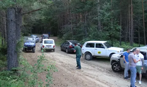 Мъж срещна мечка в парк в Троян - 1