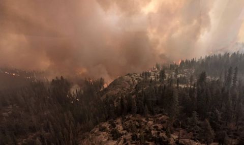 Поне седем са жертвите на опустошителните горски пожари в Сибир - 1