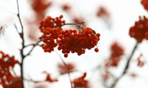 Валежите продължават - 1