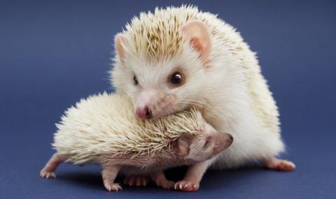 По какво се познава най-добрата връзка? - 1