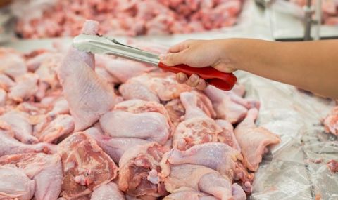 Чистка! Великобритания унищожава над 10 000 пуйки заради птичи грип - 1