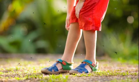 Червено и оранжево привличат комарите - 1